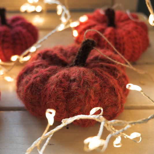 Addobbi di Natale, Ghianda, Fungo e Zucche