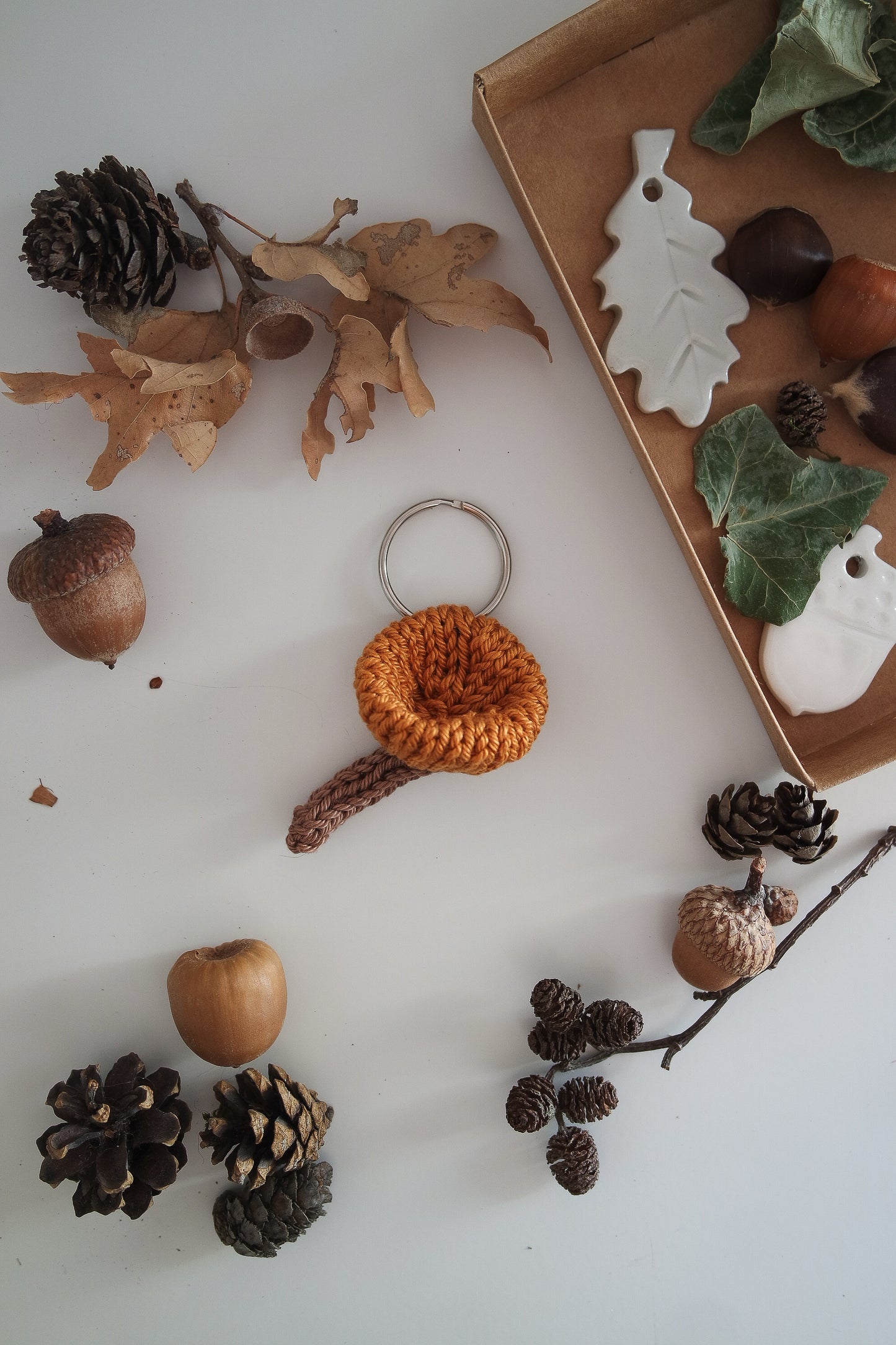 Spille funghi finferli