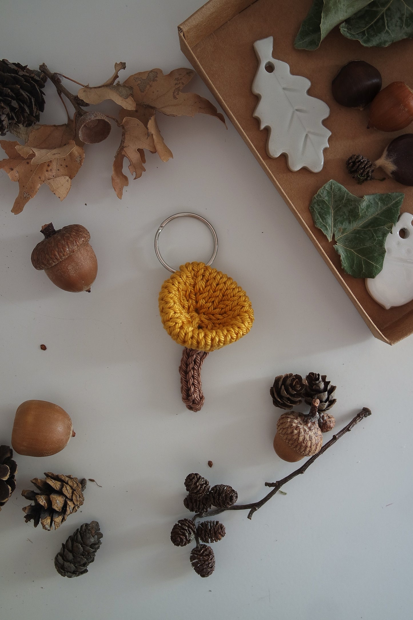 Spille funghi finferli